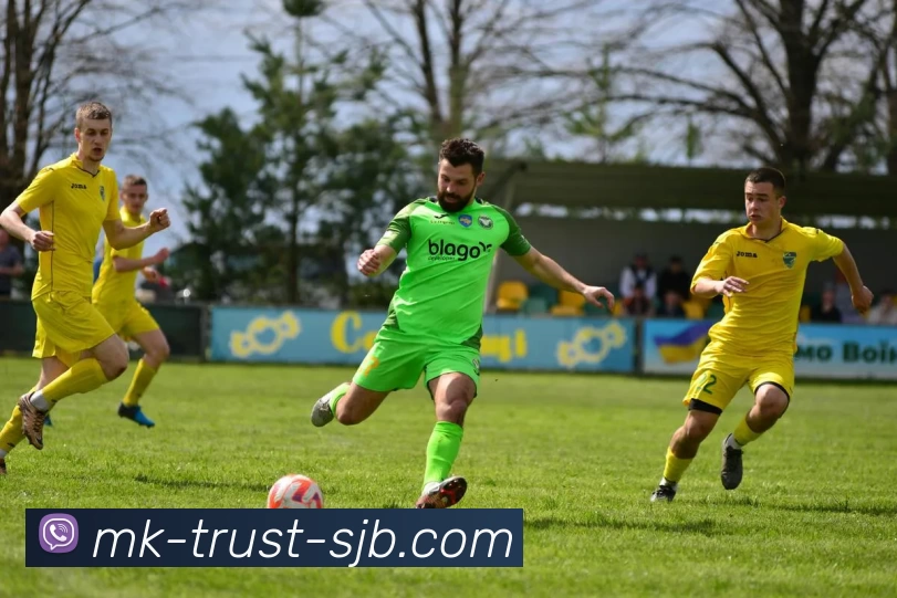 App Interface Preview